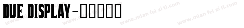 DUE DISPLAY字体转换